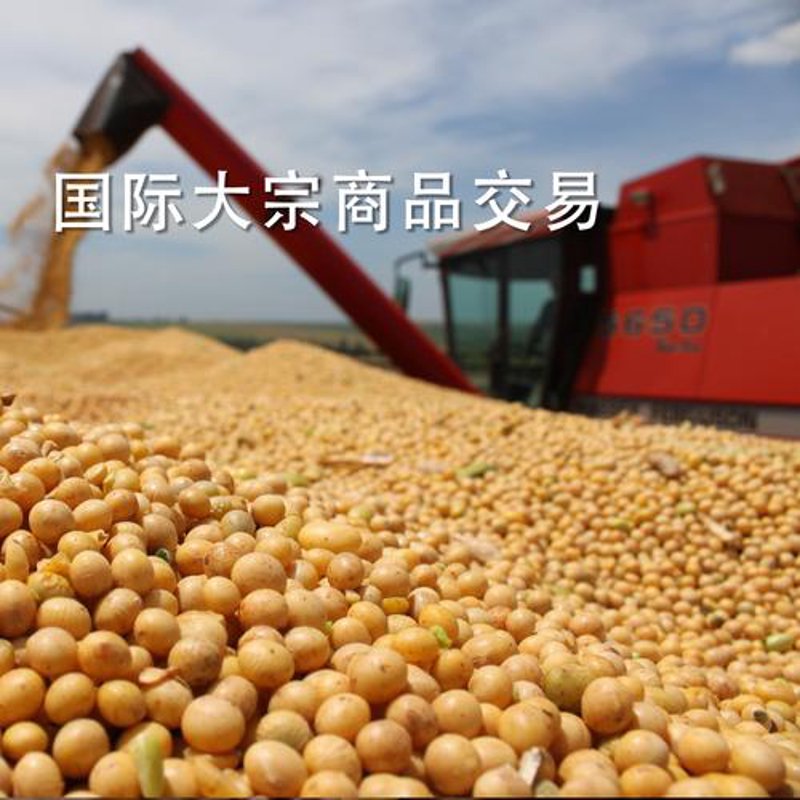 海口贸易公司：市场风云中的破浪者