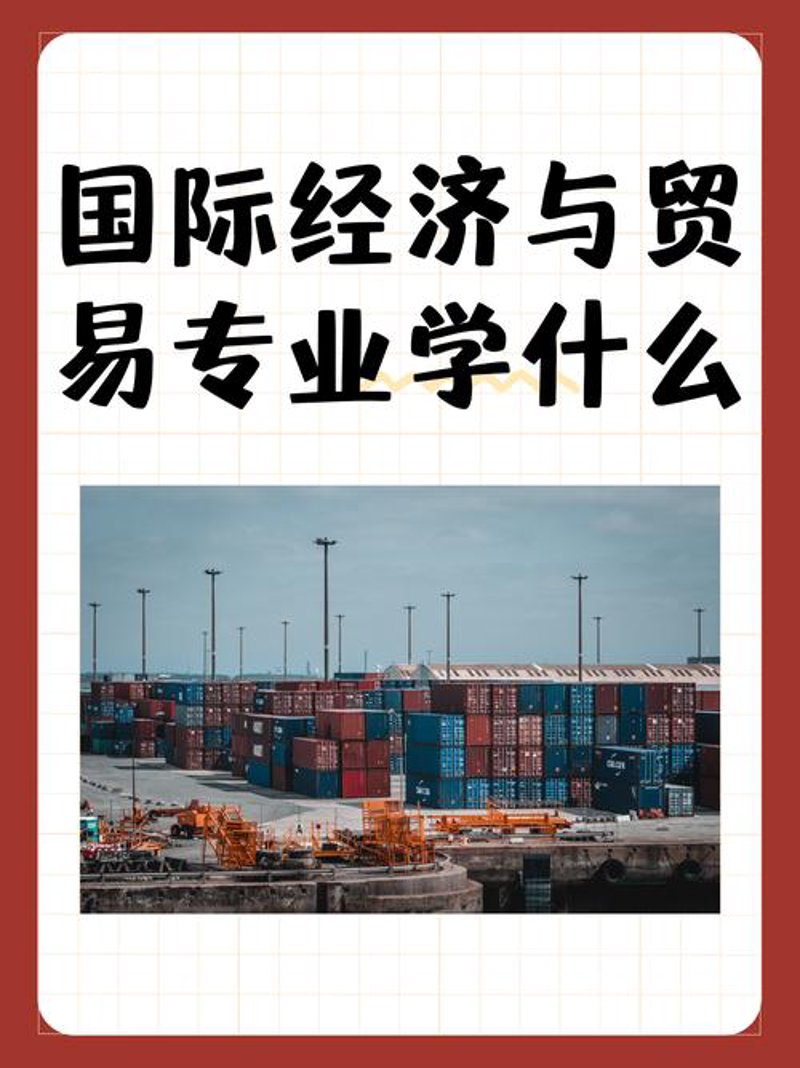 海口贸易公司的经营动态与未来展望