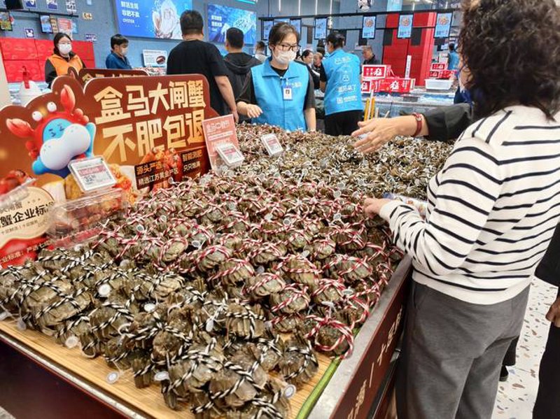 贸易之桥：把握进出口贸易代理的新机遇